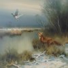 Fuchs in Winterlandschaft